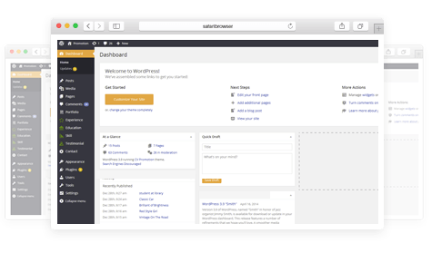 Robust and Optional Portfolio Detail